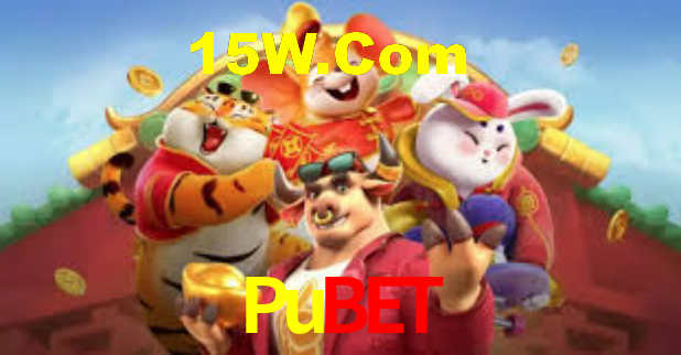 Pubet App Interface