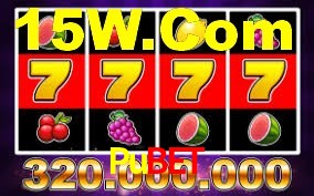 Roulette Table Pubet