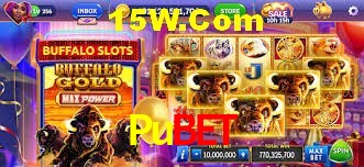 Experiência VIP Pubet