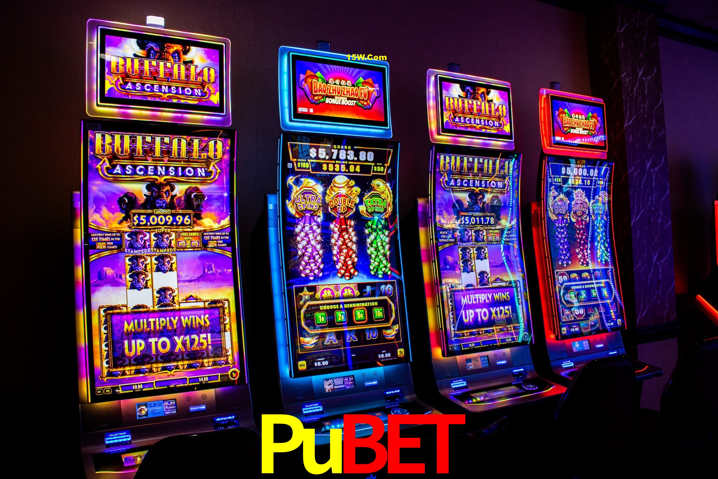 Live Casino Pubet