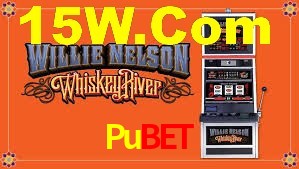 Premium Interface Pubet