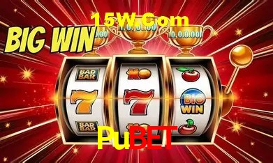 Secure Login Pubet
